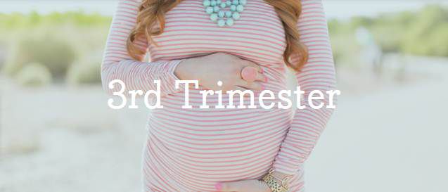 3rd Trimester