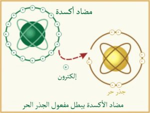 مضادات الاكسدة